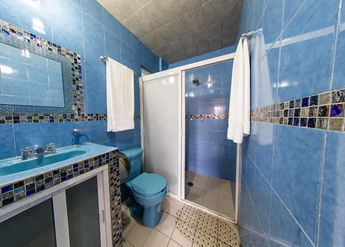 Apartamento Harmony Coyoacan Hermoso Depa De 3 Recamaras Y 2 Baños En El Centro De Coyoacan