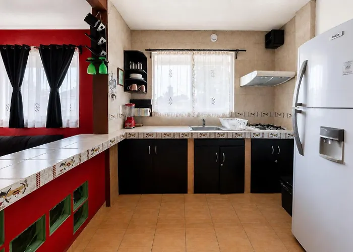 Apartamento Harmony Coyoacan Hermoso Depa De 3 Recamaras Y 2 Baños En El Centro De Coyoacan *