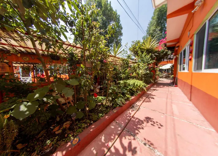Harmony Coyoacan Hermoso Depa De 3 Recamaras Y 2 Baños En El Centro De Coyoacan *